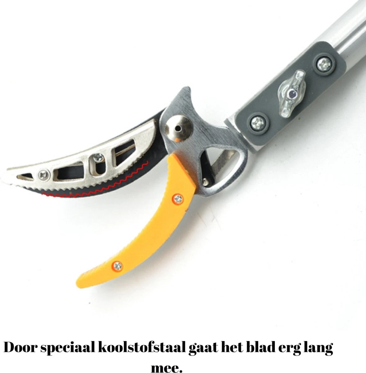 Sécateur Télescopique Recalma - Ciseaux à Rosiers - Sécateur Et Scie à Branches - Lame De Scie - Ciseaux à Fleurs - Ébrancheur - Scie - Télescopique 130 à 220 Cm 7 Sécateur Télescopique Recalma - Ciseaux à Rosiers - Sécateur Et Scie à Branches - Lame De Scie - Ciseaux à Fleurs - Ébrancheur - Scie - Télescopique 130 à 220 Cm – Image 5