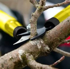 Taille-haie Télescopique - Coupe-branches - Ciseaux à Fleurs - Sécateur Élagage Télescopique - Taille Haie - Jardinage - Extensible - Élagage Des Branches -Outils de jardinage professionnels 1200x1174 2