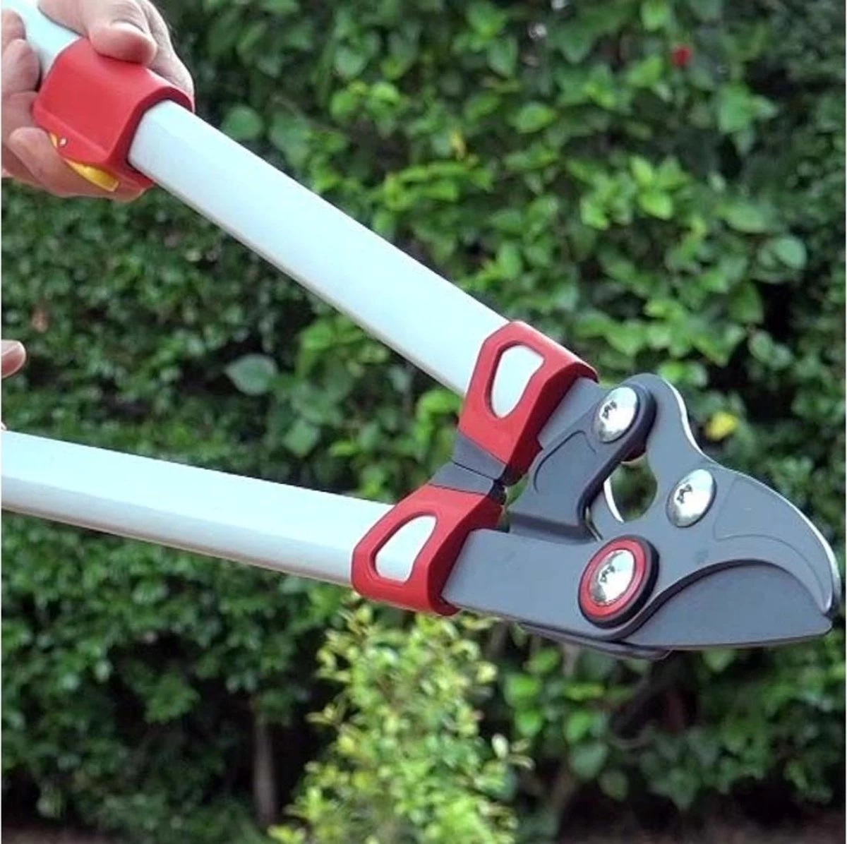 WOLF-Garten Sécateur à ébrancher POWER CUT RR*** 900 T - Longueur 650-900mm - Télescope - Bras De Levier En Aluminium - 4x Plus De Puissance - Tension De La Lame Réglable 5 WOLF-Garten Sécateur à ébrancher POWER CUT RR*** 900 T - Longueur 650-900mm - Télescope - Bras De Levier En Aluminium - 4x Plus De Puissance - Tension De La Lame Réglable – Image 3