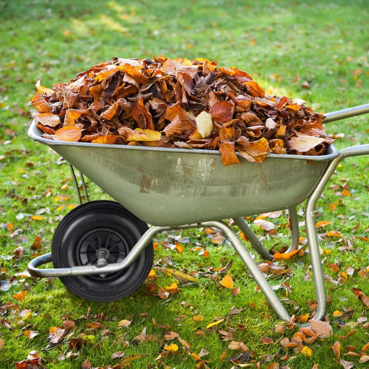 Relaxdays 2x Roue De Brouette 4.00-6 - Caoutchouc Intégral - Roue De Secours Anti-crevaison - Complète - Adaptateurs 6 Relaxdays 2x Roue De Brouette 4.00-6 - Caoutchouc Intégral - Roue De Secours Anti-crevaison - Complète - Adaptateurs – Image 4