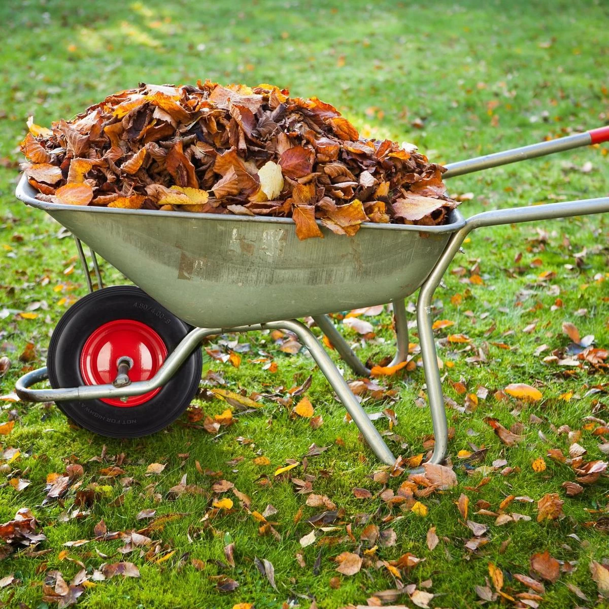 Relaxdays Wheelbarrow Wheel 4.80 4.00-8 - Pneu De Secours Pneu Pneumatique - Jante Acier - Pneu Caoutchouc 5 Relaxdays Wheelbarrow Wheel 4.80 4.00-8 - Pneu De Secours Pneu Pneumatique - Jante Acier - Pneu Caoutchouc – Image 3