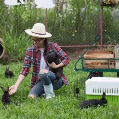 Pneumatiques De Charrette à Bras Relaxdays - 200 Kg - Chariot De Transport En Acier - Chariot De Jardin - Charrette à Bras -Outils de jardinage professionnels 1200x1200 1139