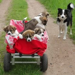 Ensemble De Roues Pour Diable Relaxdays V8 X - Pneu En Caoutchouc - Charrette à Main - 150 Kg - Jante Acier Bleu -Outils de jardinage professionnels 1200x1200 1226