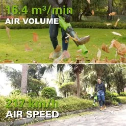 Greenworks 48 VOLT (2X24 VOLT) SOUFFLEUR À FEUILLES À BATTERIE Avec 2x Batterie Li-Ion Et Chargeur