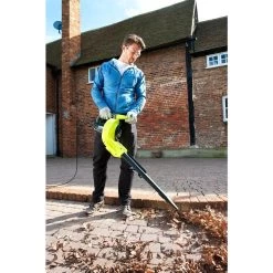 Aspirateur à Feuilles électrique Ryobi RBV3000CESV -Outils de jardinage professionnels 1200x1200 1479