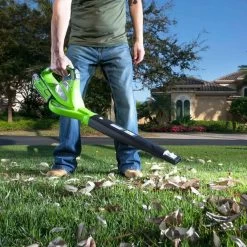 Souffleuse à Feuilles Sans Fil Greenworks GD40BV | Aspirateur à Feuilles à Batterie Sans Batterie Ni Chargeur -Outils de jardinage professionnels 1200x1200 1485