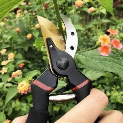 Sécateur Premium Cisailles à Arbre De Qualité Supérieure Revêtues De Titane Forgé Cisailles à Vin Dérivation Confortable. En Acier SK5. Sécateur Comfort Bypass Rose Ciseaux. Outils Bonsaï -Outils de jardinage professionnels 1200x1200 313