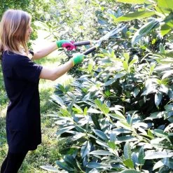 Taille-haie Panther 540 Mm, Sécateur Et Cisaille à Arbustes, Mesure En Acier Durable, Cartographié, Poignées Ergonomiques En Bois De Frêne, Très Bon Tranchant, Taille-haie De Jardin Professionnel -Outils de jardinage professionnels 1200x1200 354