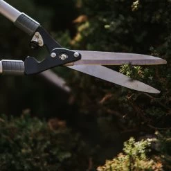 Taille-haie Holtaz Garten Poignée Ergonomique Avec Tranchant Droit Et Mécanisme De Verrouillage Lames En Acier De Haute Qualité 12 Taille-haie Holtaz Garten Poignée Ergonomique Avec Tranchant Droit Et Mécanisme De Verrouillage Lames En Acier De Haute Qualité -Outils de jardinage professionnels 1200x1200 361