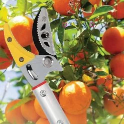 Sécateur Télescopique Recalma - Ciseaux à Rosiers - Sécateur Et Scie à Branches - Lame De Scie - Ciseaux à Fleurs - Ébrancheur - Scie - Télescopique 130 à 220 Cm 13 Sécateur Télescopique Recalma - Ciseaux à Rosiers - Sécateur Et Scie à Branches - Lame De Scie - Ciseaux à Fleurs - Ébrancheur - Scie - Télescopique 130 à 220 Cm -Outils de jardinage professionnels 1200x1200 428