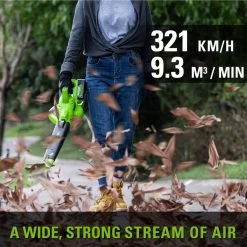 Greenworks SOUFFLEUR ET ASPIRATEUR À BATTERIE 48 VOLTS (2X24 VOLT) AVEC 2 BATTERIES ET CHARGEUR GD24X2BVK4X -Outils de jardinage professionnels 1200x1200 812