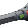 Souffleur De Feuilles à Batterie Henx 40V | Excl. Batterie Et Chargeur