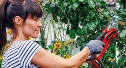 Scie à Branches Sans Fil EINHELL GE- GS 18 Li Solo - Power-X-Change - 18 V - Lame De Scie: 15 Cm - Sans Batterie Ni Chargeur -Outils de jardinage professionnels 1200x648