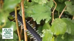 Taille-haie Bosch AdvancedHedgeCut 70 - 500 Watt - Capacité De Coupe 34 Mm - Longueur De Lame 70 Cm -Outils de jardinage professionnels 1200x675 5