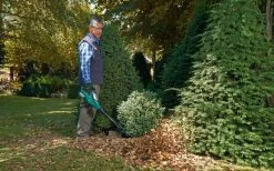 Souffleur De Feuilles à Batterie Bosch ALB 36 LI - Avec Batterie Li-Ion 36 V 2,0 Ah Et Chargeur 90 Min -Outils de jardinage professionnels 1200x747 3