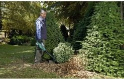 Souffleur De Feuilles à Batterie Bosch ALB 36 LI - Avec Batterie Li-Ion 36 V 2,0 Ah Et Chargeur 90 Min -Outils de jardinage professionnels 1200x762