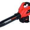 Souffleur à Feuilles Powerplus Dual Power POWDPG7525 - 40V - (sans Batterie) -Outils de jardinage professionnels 1200x775 2
