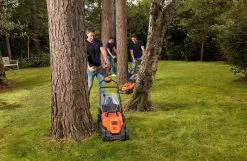 Black & Decker Tondeuse à Gazon BLACK + DECKER BEMW471ES-QS - 1600W - 38cm - Filaire -Outils de jardinage professionnels 1200x781 3