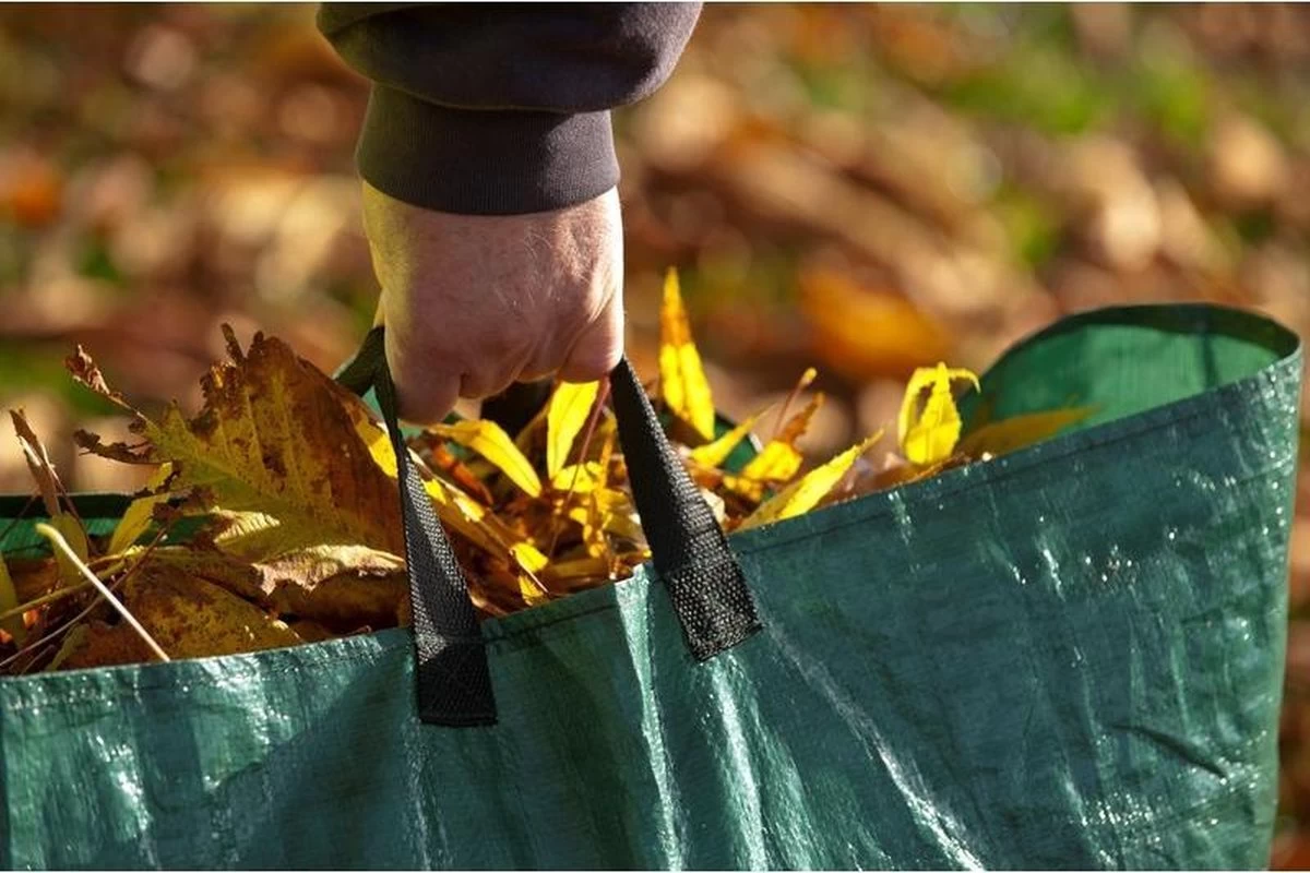 Nature 3x Sacs à Déchets Verts De Jardin Pliables 120 Litres - Sacs De Jardinage à Déchets De Jardin - Nettoyage / Rangement Du Jardin - Entretien Du Jardin 6 Nature 3x Sacs à Déchets Verts De Jardin Pliables 120 Litres - Sacs De Jardinage à Déchets De Jardin - Nettoyage / Rangement Du Jardin - Entretien Du Jardin – Image 4