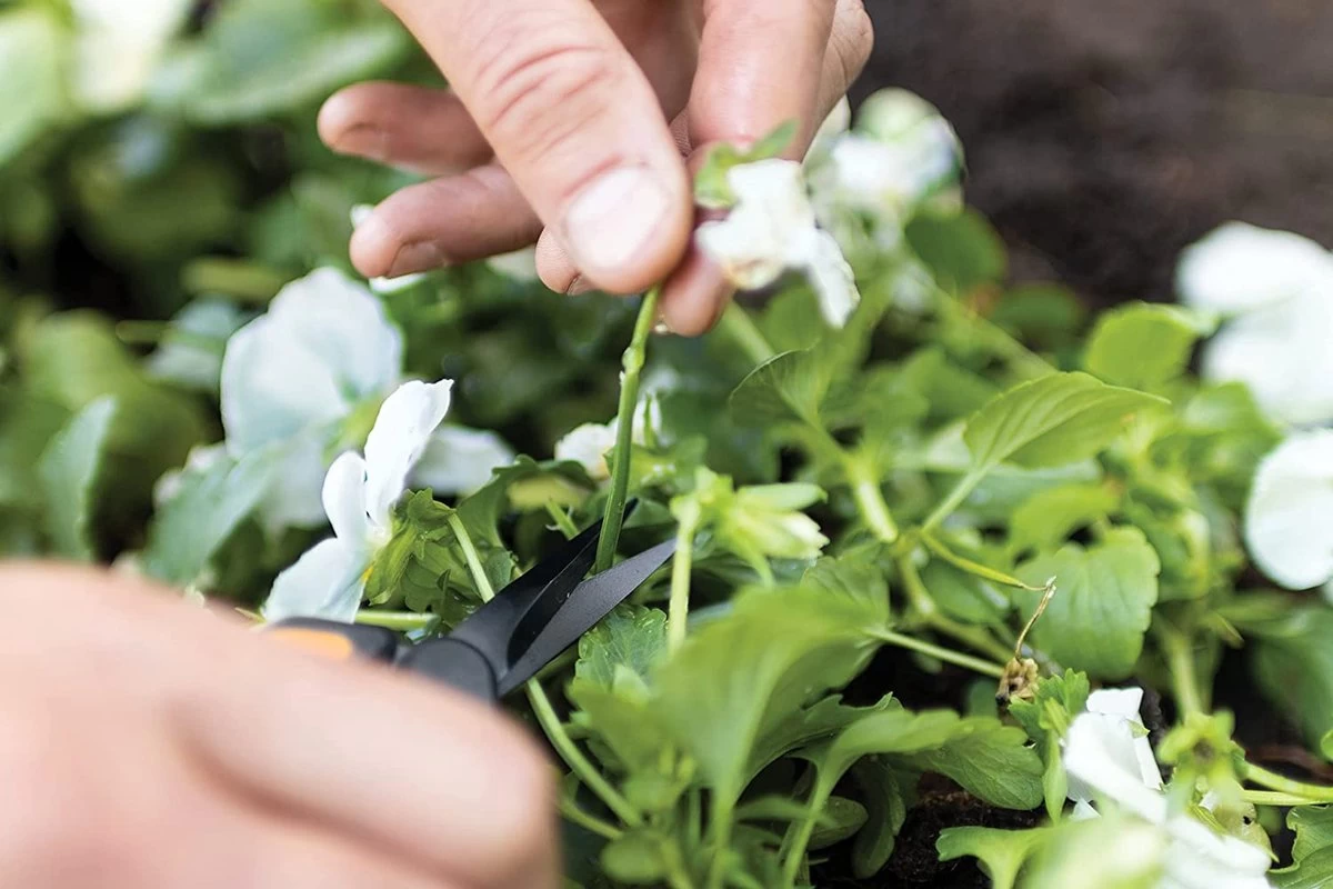 Fiskars Cisailles De Jardin, Longueur : 15,4 Cm, Jauge En Acier Inoxydable Avec Revêtement PTFE/poignée En Plastique, Noir/orange, Micro-Tip, Solid, SP-131, 1063321 4 Fiskars Cisailles De Jardin, Longueur : 15,4 Cm, Jauge En Acier Inoxydable Avec Revêtement PTFE/poignée En Plastique, Noir/orange, Micro-Tip, Solid, SP-131, 1063321 – Image 2