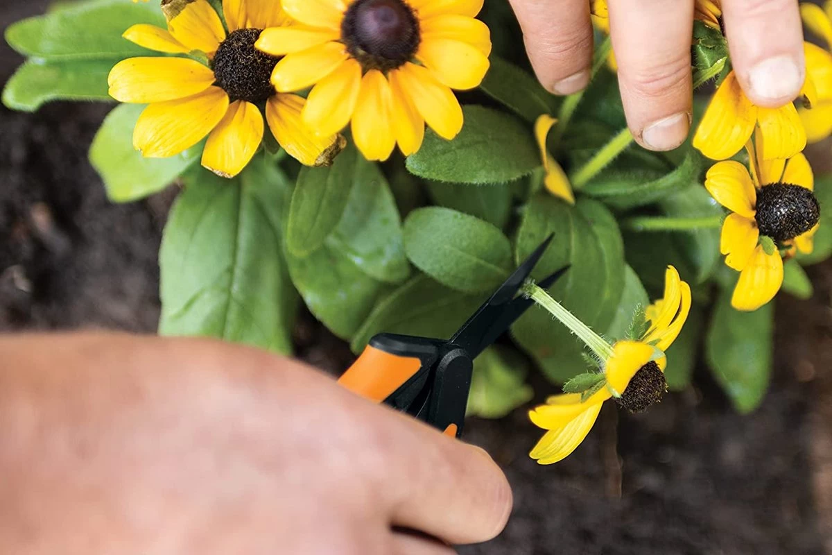 Fiskars Cisailles De Jardin, Longueur : 15,4 Cm, Jauge En Acier Inoxydable Avec Revêtement PTFE/poignée En Plastique, Noir/orange, Micro-Tip, Solid, SP-131, 1063321 5 Fiskars Cisailles De Jardin, Longueur : 15,4 Cm, Jauge En Acier Inoxydable Avec Revêtement PTFE/poignée En Plastique, Noir/orange, Micro-Tip, Solid, SP-131, 1063321 – Image 3