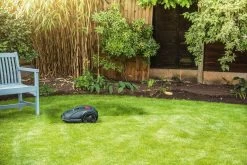 Robot Tondeuse Bosch Indego 350 Connect - 18 V - Largeur De Coupe 19 Cm - Utilisable Avec Une Application 28 Robot Tondeuse Bosch Indego 350 Connect - 18 V - Largeur De Coupe 19 Cm - Utilisable Avec Une Application -Outils de jardinage professionnels 1200x800 66