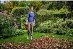 Souffleur à Batterie Universel Einhell GE-UB 18/250 Li E Solo Power X-Change (18 V - Vitesse De L'air 250 Km/h - Tube 3 Pièces - Contrôle De Vitesse électrique Avec Affichage LED - Sans Batterie) -Outils de jardinage professionnels 1200x812