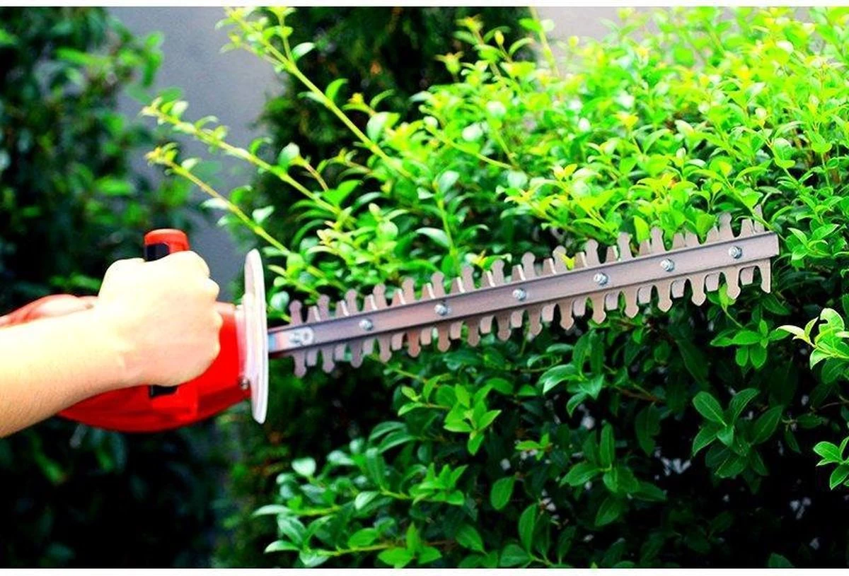 Taille-haie électrique Grizzly Tools EHS 4500 Longueur De Coupe 41 Cm 450 Watts Interrupteur De Sécurité Frein De Lame 5 Taille-haie électrique Grizzly Tools EHS 4500 Longueur De Coupe 41 Cm 450 Watts Interrupteur De Sécurité Frein De Lame – Image 3