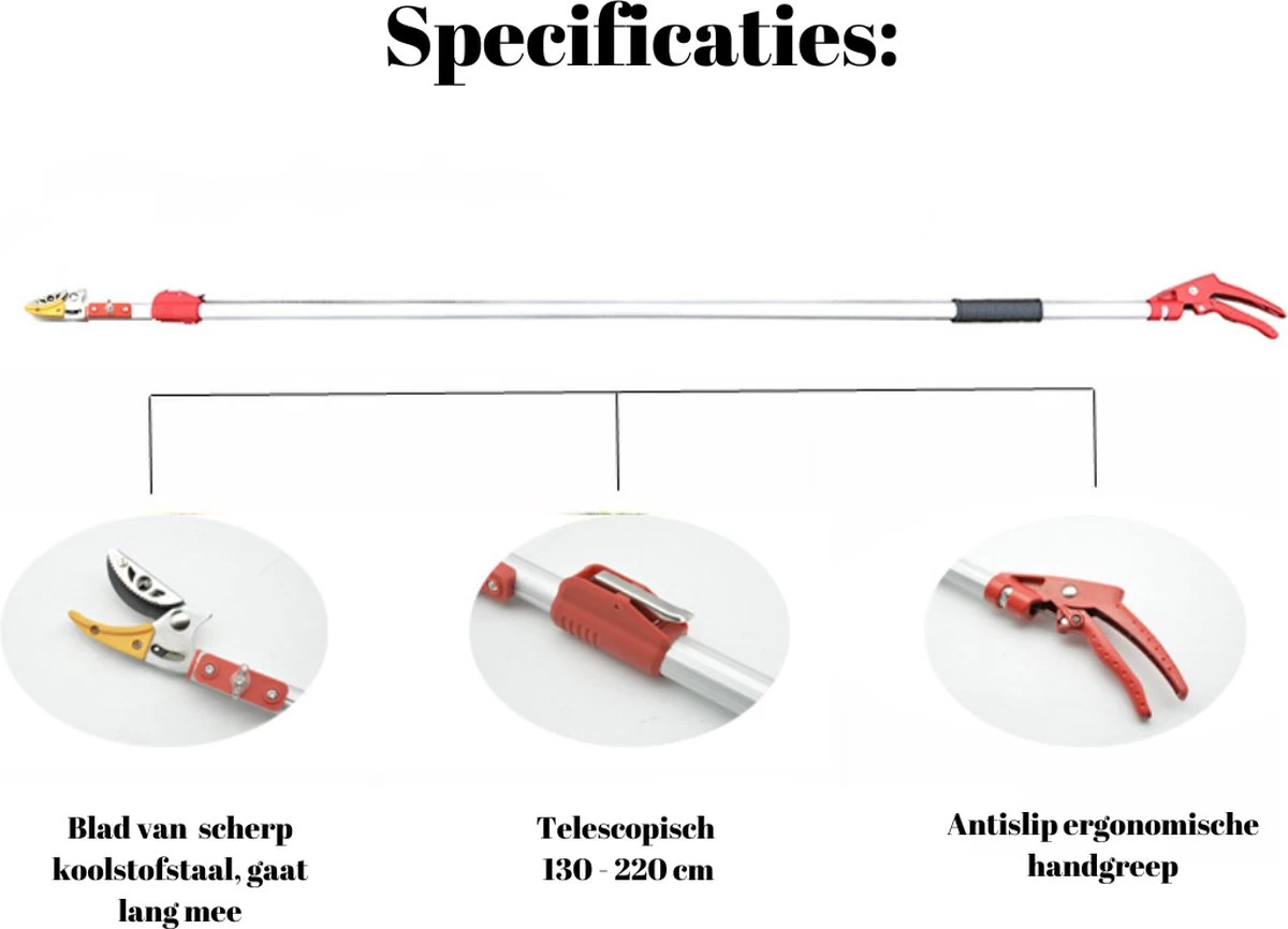 Sécateur Télescopique Recalma - Ciseaux à Rosiers - Sécateur Et Scie à Branches - Lame De Scie - Ciseaux à Fleurs - Ébrancheur - Scie - Télescopique 130 à 220 Cm 6 Sécateur Télescopique Recalma - Ciseaux à Rosiers - Sécateur Et Scie à Branches - Lame De Scie - Ciseaux à Fleurs - Ébrancheur - Scie - Télescopique 130 à 220 Cm – Image 4