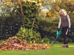 Souffleur à Feuilles Bosch ALB 18 LI - Avec Power For All Li-Ion 18V 2,5 Ah Batterie Et Chargeur Rapide 17 Souffleur à Feuilles Bosch ALB 18 LI - Avec Power For All Li-Ion 18V 2,5 Ah Batterie Et Chargeur Rapide -Outils de jardinage professionnels 1200x900 50