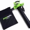 Souffleuse à Feuilles Sans Fil Greenworks GD40BV | Aspirateur à Feuilles à Batterie Sans Batterie Ni Chargeur