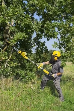 Tronçonneuse Télescopique Powerplus POWXG1032 - 900 W - 30 Cm De Longueur De Lame -Outils de jardinage professionnels 800x1200