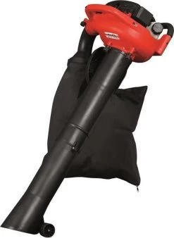 Souffleur à Feuilles Grizzly Tools BLSB 3030 - 1,0 KW - 300 Km/h - 10,5 M³/min -Outils de jardinage professionnels 878x1200