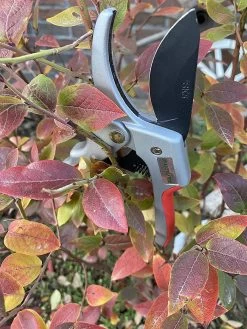 Sécateur Jusqu'à 60% D'économie D'énergie Cisailles à Arbres Cisailles à Roses Sécateurs Coupe Jusqu'à 26 Mm De Diamètre, Poignée Ergonomique Pour Droitiers Et Gauchers Cisailles à Arbres Fruitiers Cisailles à Rouleaux -Outils de jardinage professionnels 900x1200 4